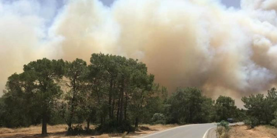 ΚΥΠΡΟΣ - ΚΑΤΕΧΟΜΕΝΑ: Συνδρομή ελικοπτέρων από Τουρκία για κατάσβεση της πυρκαγιάς 